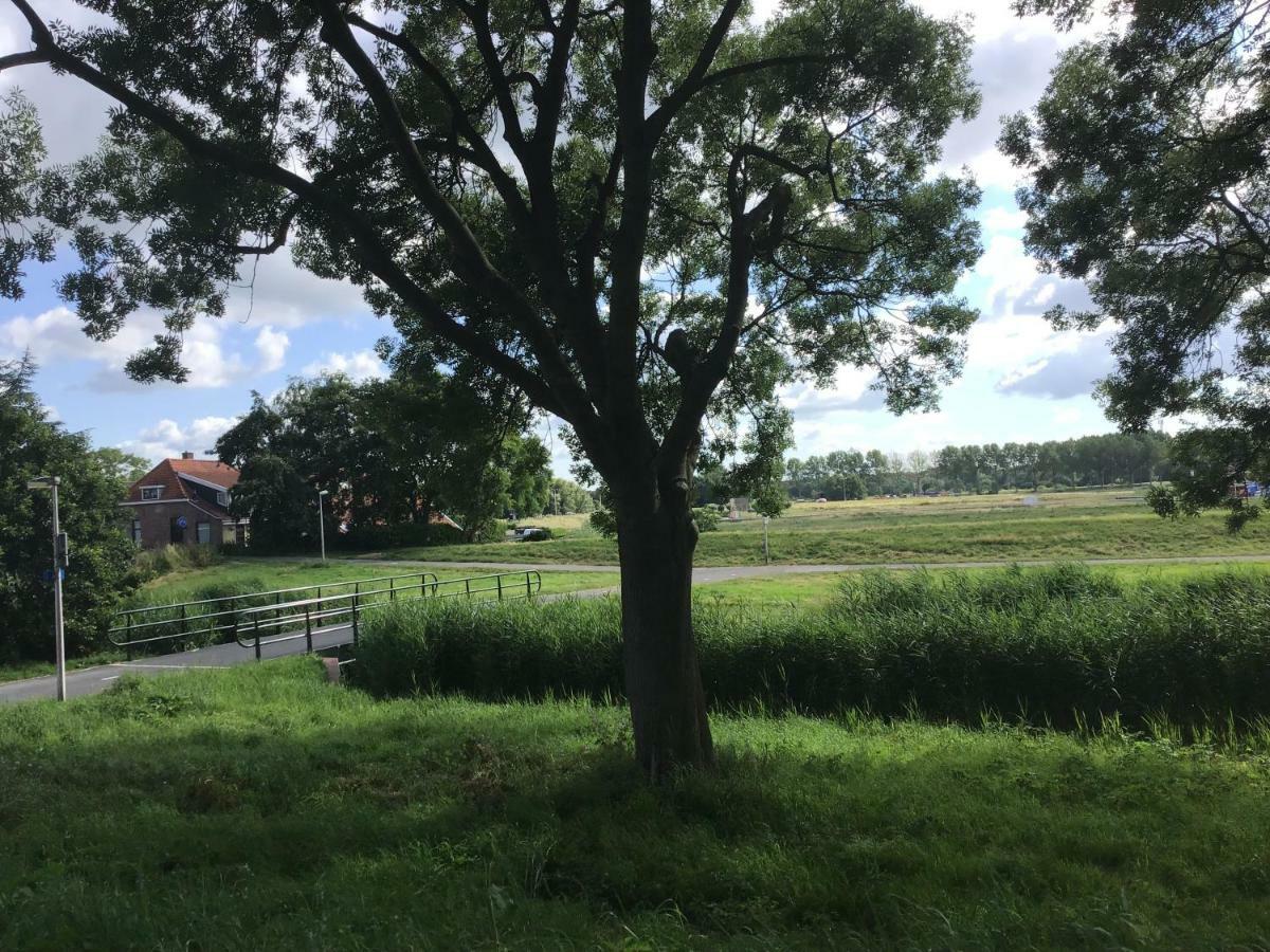 Pension Buitenzicht Geervliet Exteriör bild