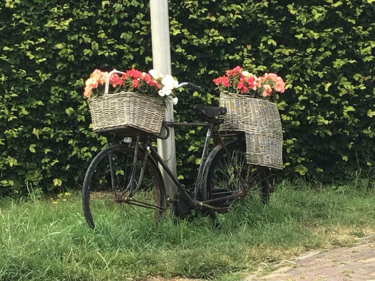 Pension Buitenzicht Geervliet Exteriör bild